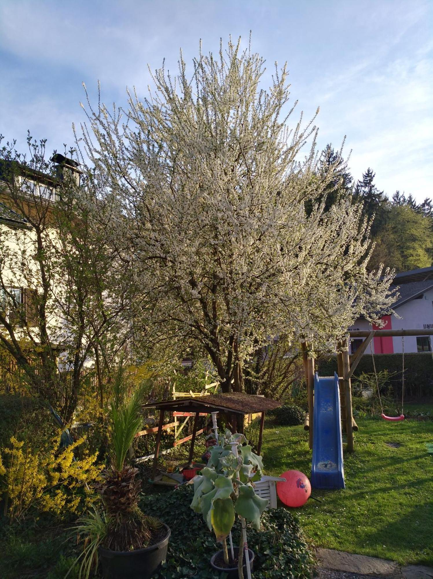 Haus Friedburg Apartment Velden am Worthersee Bagian luar foto